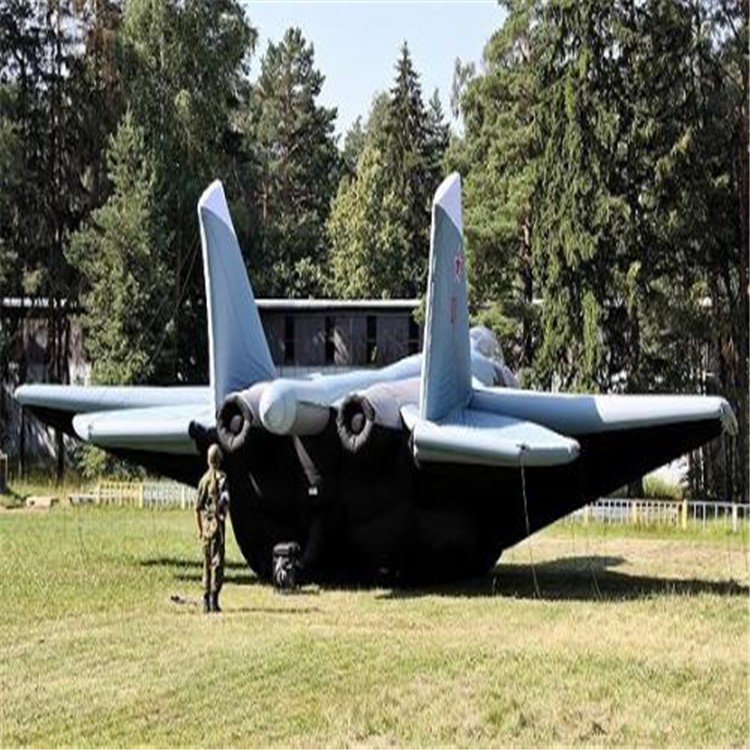 丰南充气飞机模型